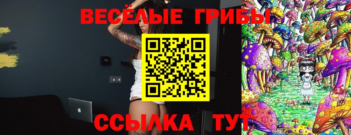 Галлюциногенные грибы Cubensis  Вход с VPN  Асбест 